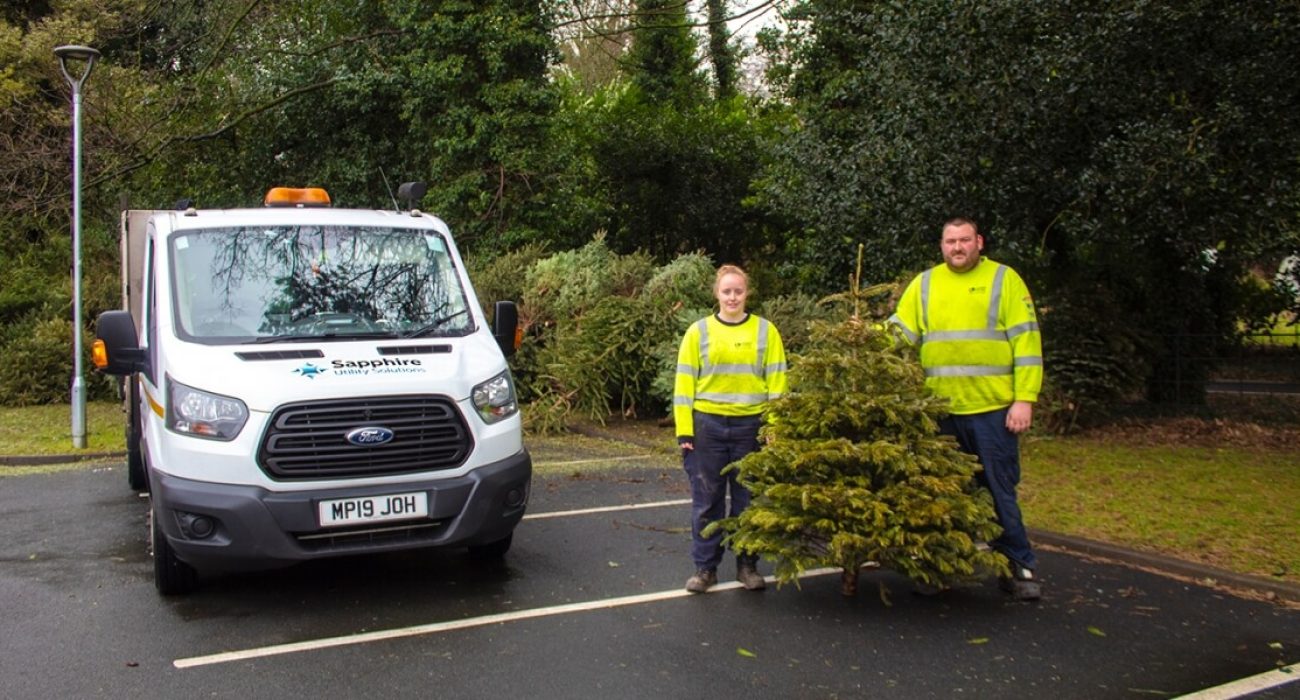 trees-article-pinreby7yj44q4m5gy1fr3ws5m0qno6q38o2u9769c